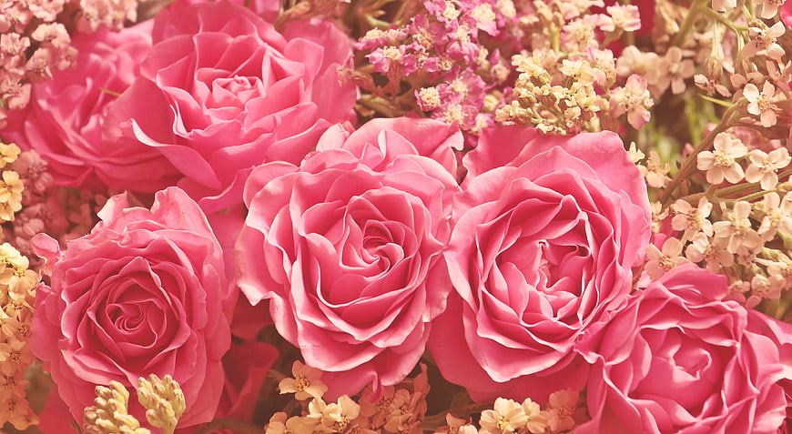 Close-up of pink roses and filler flowers in a romantic bouquet
