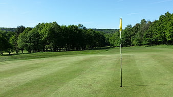 Golf Course Green With Yellow Flag And Tree Line