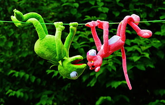 Kermit and Pink Panther plush toys hanging on a clothesline