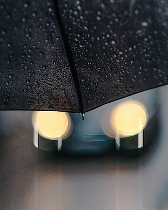 Black umbrella with raindrops and blurred city lights
