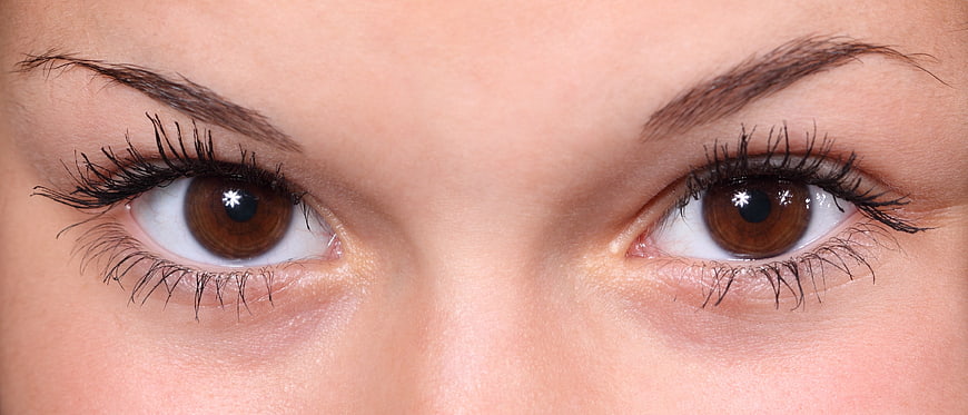 Close-up of beautiful brown female eyes with long eyelashes