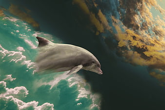 Dolphin Leaping Through Dramatic Fantasy Clouds