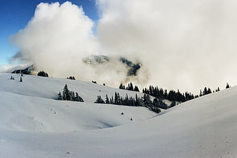 Snowy Mountain Landscape with Clouds and Pine Trees
