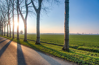 Sunlit rural road with long shadows and green fields
