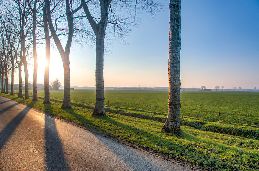 Sunlit rural road with long shadows and green fields
