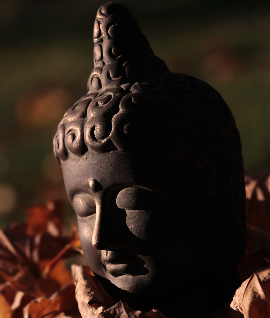 Dark Buddha Head Sculpture Resting on Autumn Leaves
