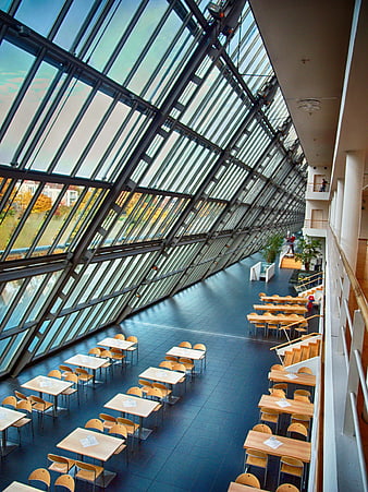 Modern glass atrium with wooden tables and chairs