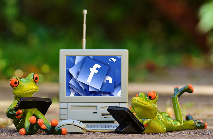 Toy Frogs Using Vintage Computer with Facebook Screen