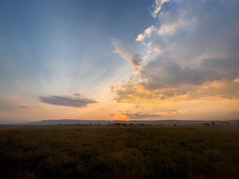 Dramatic sunset over vast grassland with golden clouds and distant hills