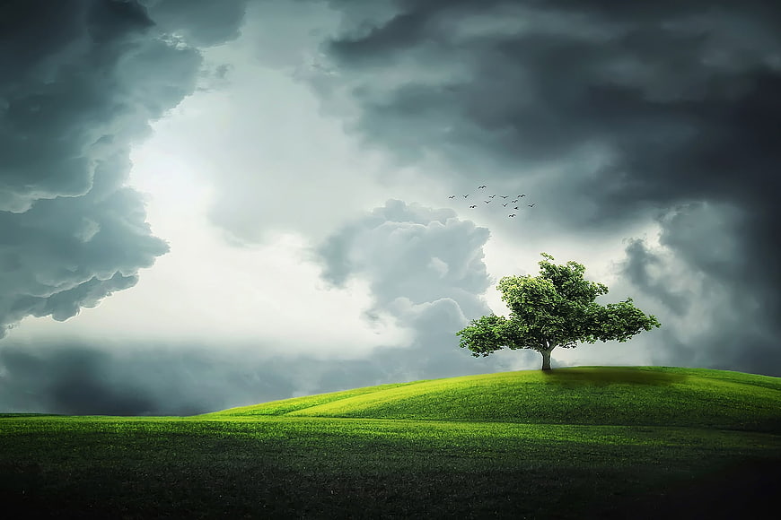 Lone tree on green hill under dramatic storm clouds