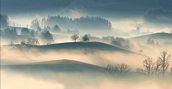 Misty rolling hills landscape with trees and fog