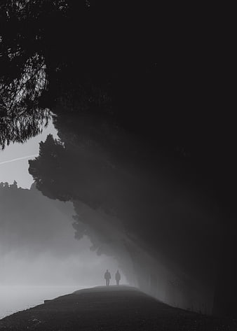 Two Silhouetted Figures Walking on Foggy Path