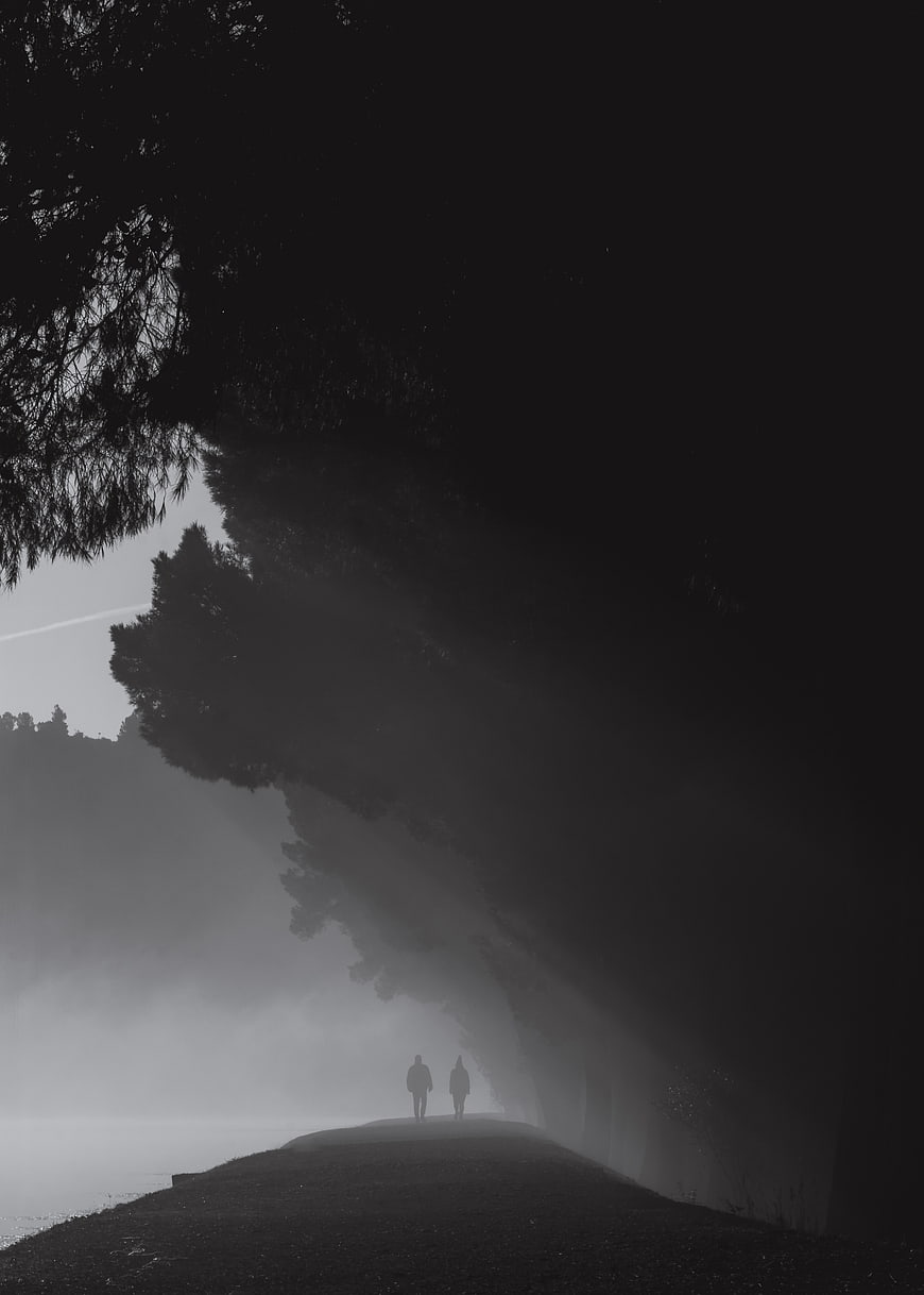 Two Silhouetted Figures Walking on Foggy Path