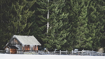 Rustic wooden cabin in snowy forest landscape