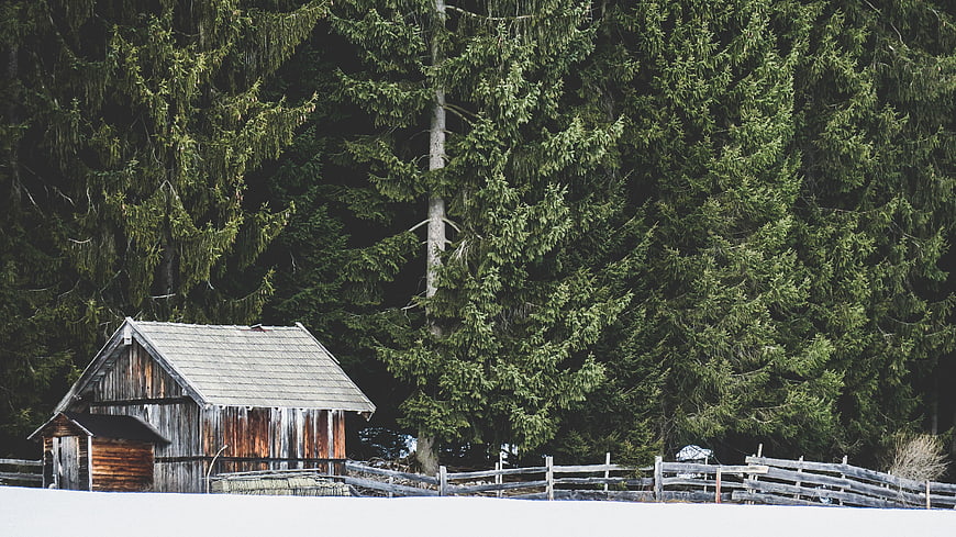 Rustic wooden cabin in snowy forest landscape