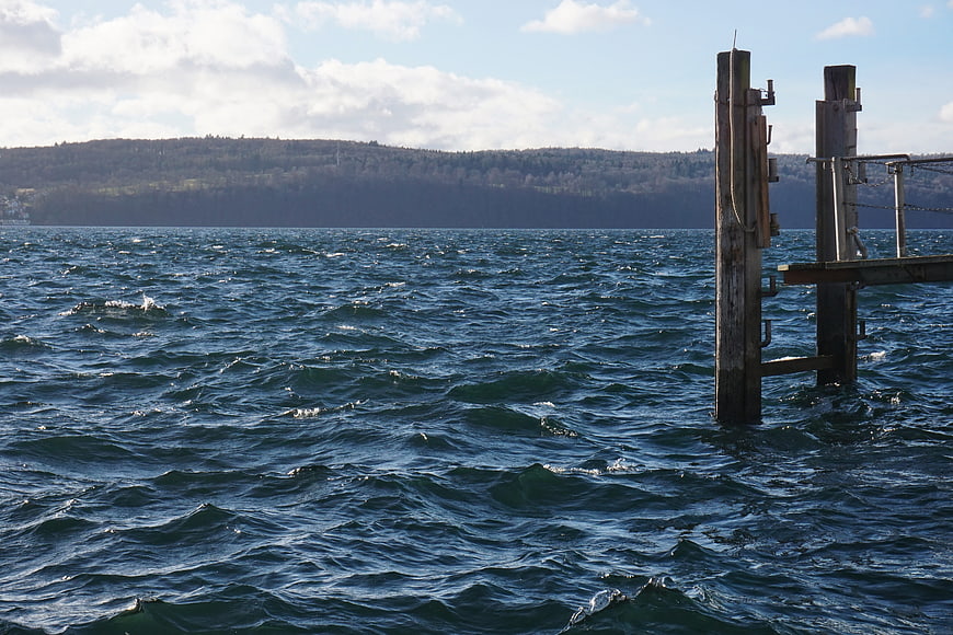 Windy blue lake waves with wooden pier posts and distant forest