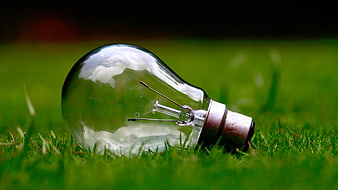 Clear light bulb lying on green grass with sky reflection