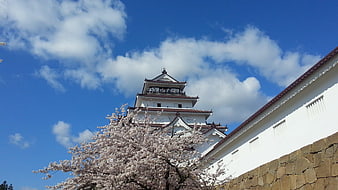 Himeji Castle with Cherry Blossoms Under Blue Sky