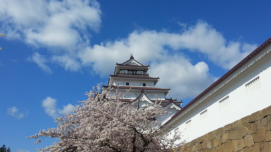 Himeji Castle with Cherry Blossoms Under Blue Sky
