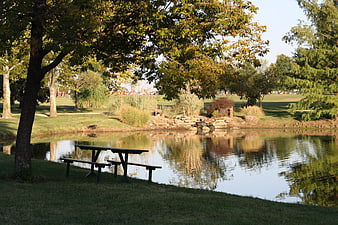 Serene park picnic table by pond with autumn trees