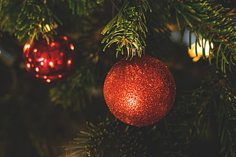 Close-up of Glittering Red Christmas Ornament on Pine Tree