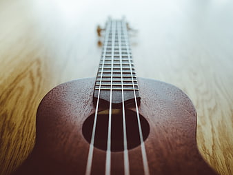 Close-up of wooden ukulele on light wood floor
