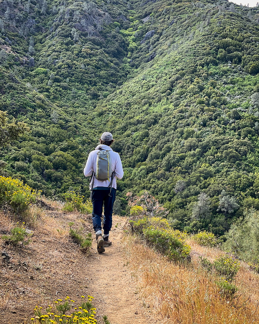 Hiker walking on mountain trail with lush green valley view