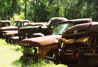 Rusty vintage trucks abandoned in overgrown grassy field