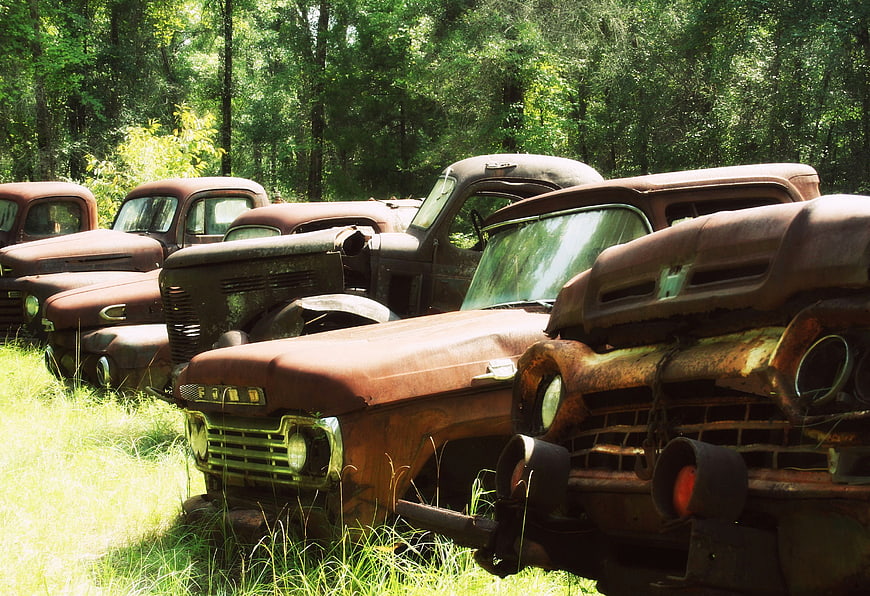 Rusty vintage trucks abandoned in overgrown grassy field