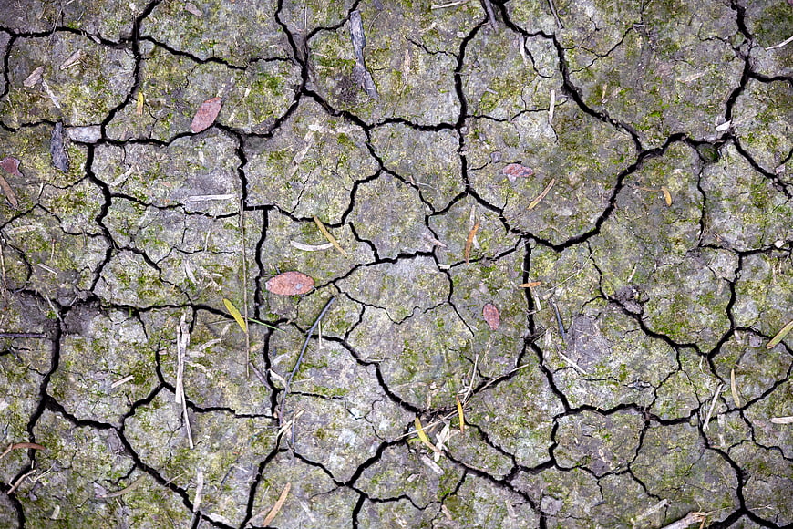 Top View of Cracked Dry Earth with Moss and Debris