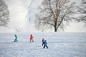 Children Skiing on Snowy Slope with Bare Trees