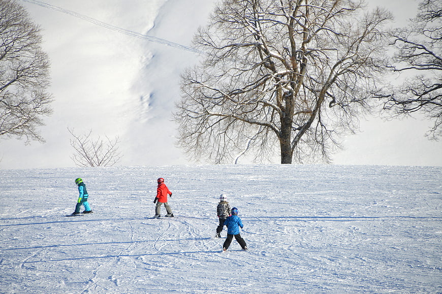 Children Skiing on Snowy Slope with Bare Trees