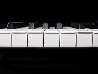 Close-up of Piano Keys with Black and White Contrast