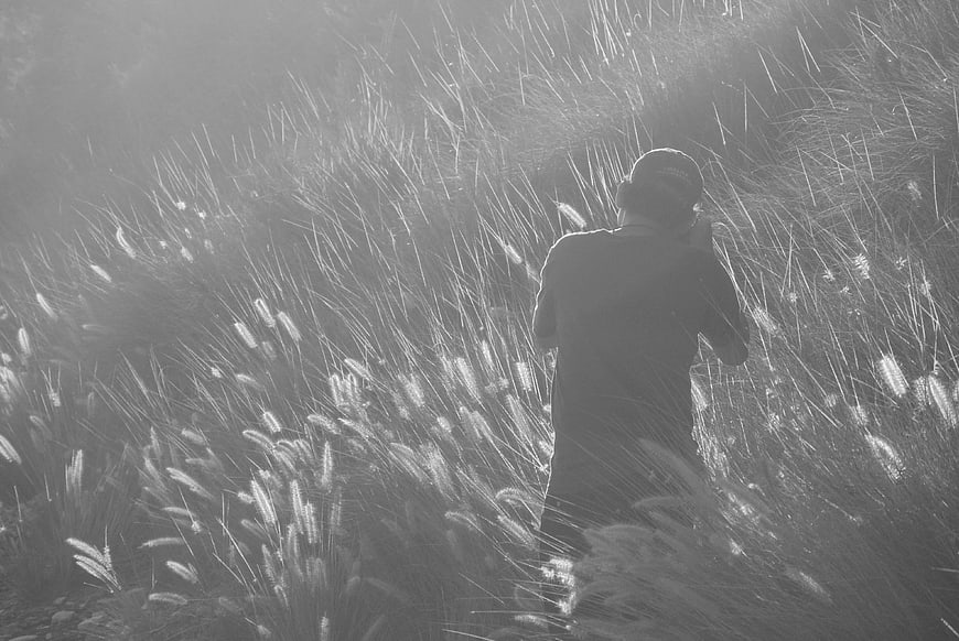 Man Taking Photo in Tall Grass Field Greyscale
