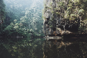 Misty jungle river with limestone cliffs and reflection