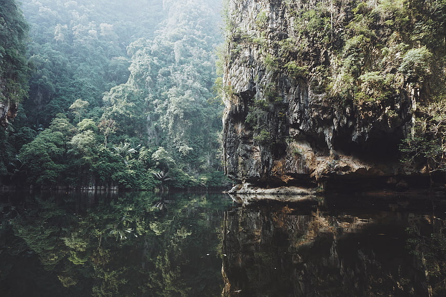 Misty jungle river with limestone cliffs and reflection