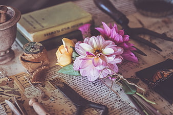 Vintage floral still life with dahlia, rose, and antique objects