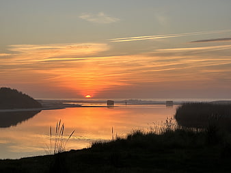 Serene Sunset Over Calm Water with Silhouetted Reeds
