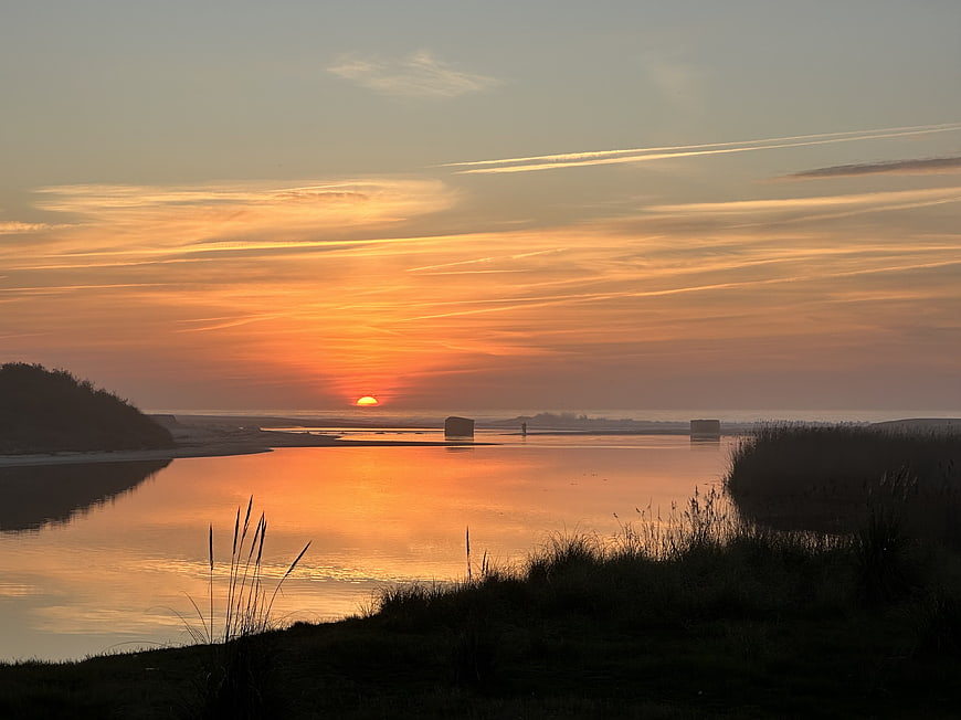 Serene Sunset Over Calm Water with Silhouetted Reeds