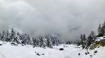 Snowy mountain landscape with fog and pine trees