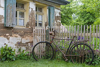 Rusty vintage bicycle leaning against weathered wooden fence in rustic garden