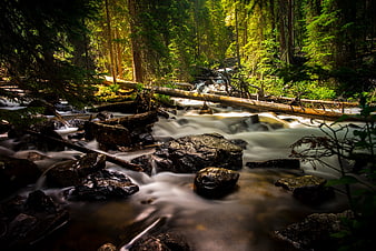 Serene Forest Stream with Long Exposure Water Flow