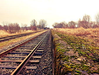 Rusty railway tracks stretching into rural countryside