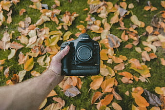 Hand holding Canon DSLR camera over autumn leaves