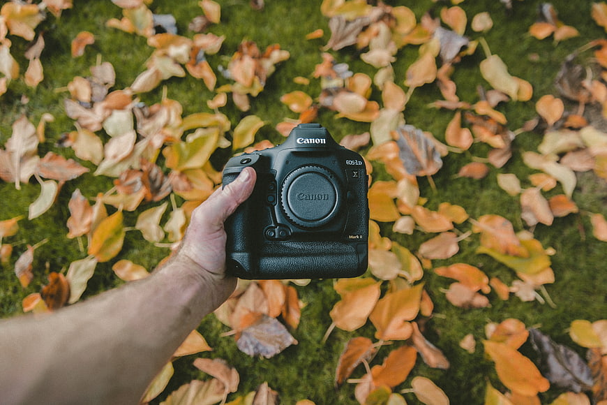 Hand holding Canon DSLR camera over autumn leaves