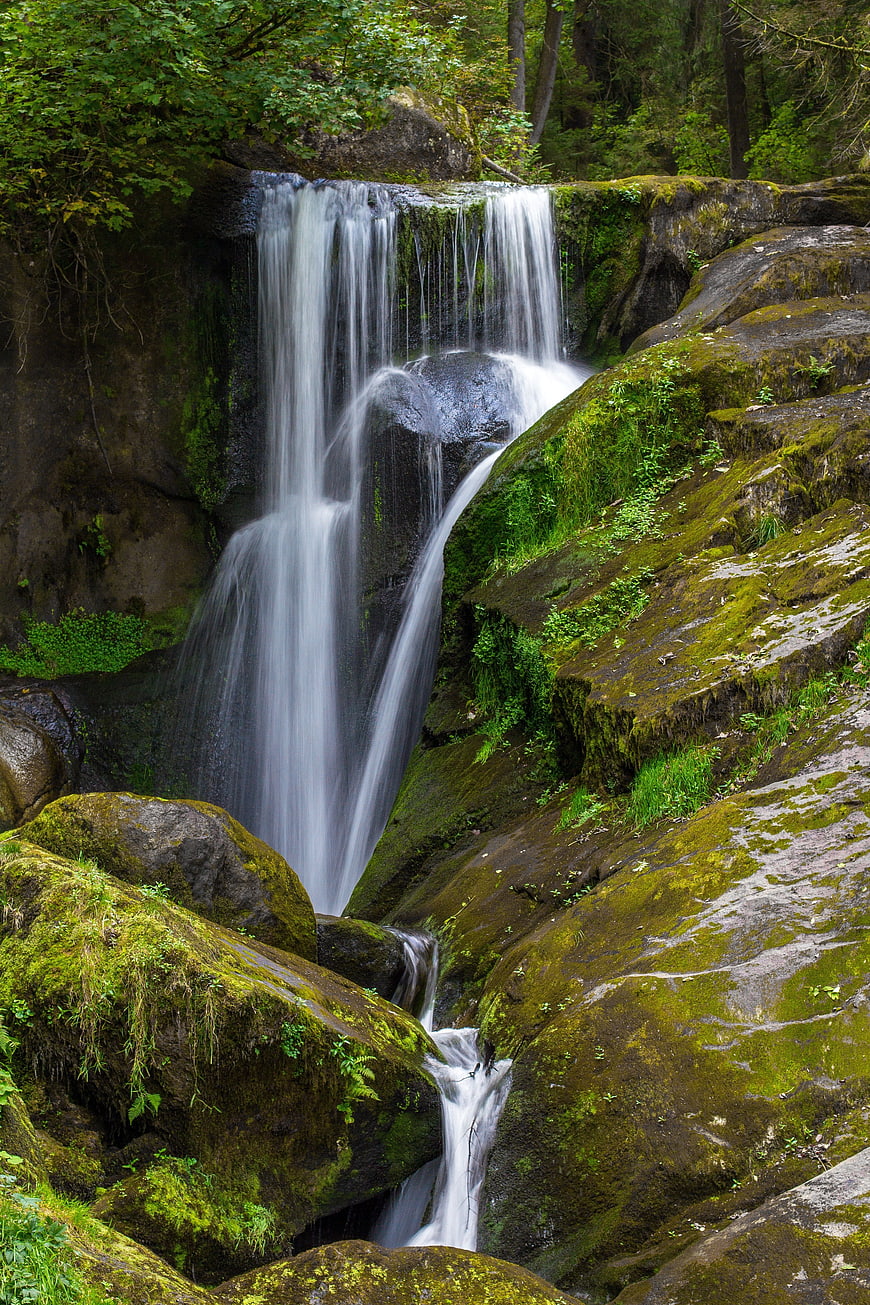 Serene Forest Waterfall with Mossy Rocks