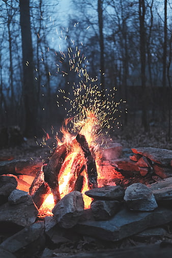 Bonfire with Sparks in Forest at Dusk