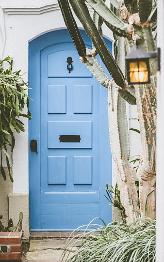 Blue arched door with cactus and lantern