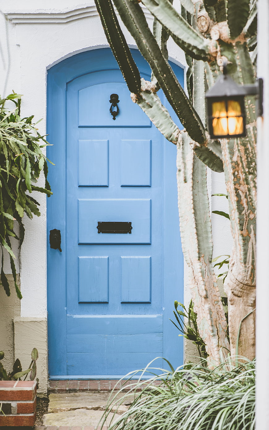 Blue arched door with cactus and lantern