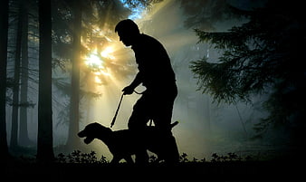 Silhouette of man walking dog in misty forest with sunbeams